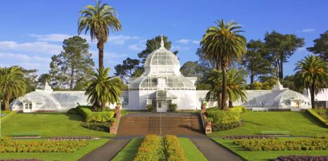 Golden Gate Park